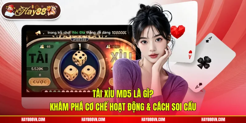 Tài Xỉu MD5 Là Gì? Khám Phá Cơ Chế Hoạt Động & Cách Soi Cầu